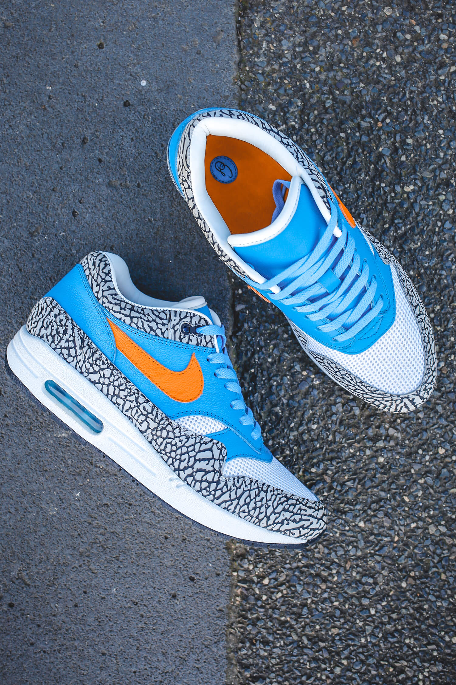 AM1 - Elephant Knicks - ChaseShiel